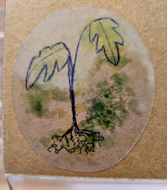 Plant Sticker - Watercolor Collection